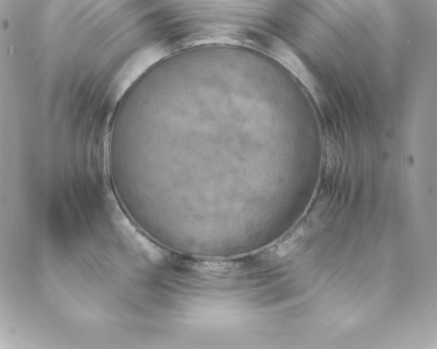 X0000089921290200706291119
