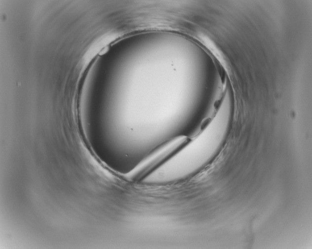 X0000089921293200706291119
