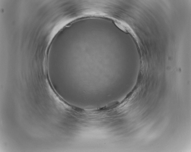 X0000089921295200706291119
