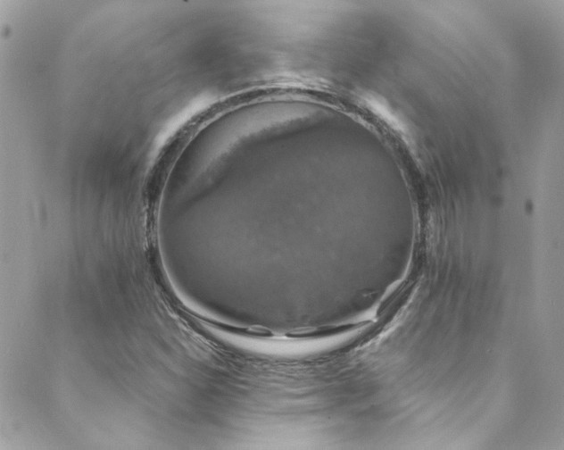 X0000089921310200706291118