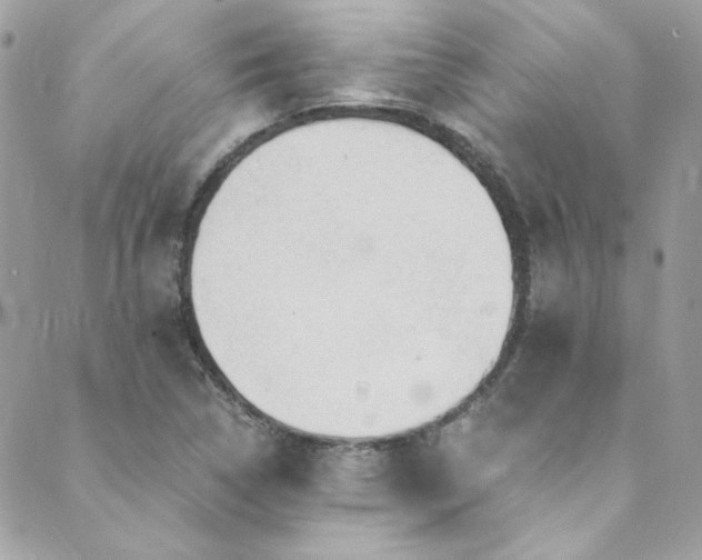 X0000089921314200706291119