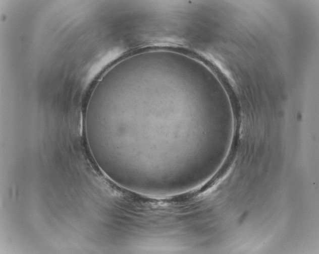 X0000089921317200706291119