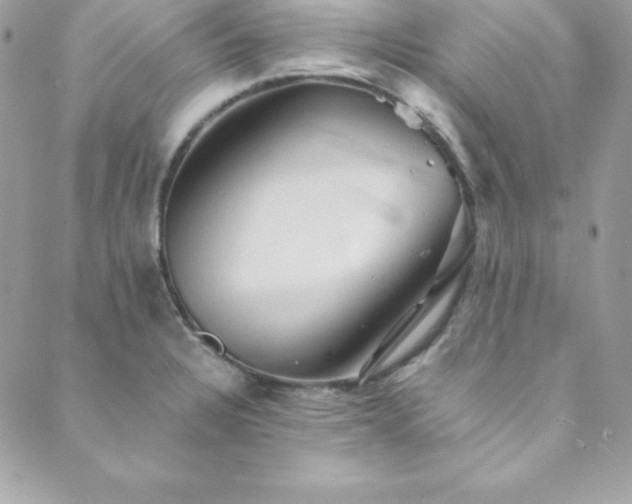 X0000089921328200706291119