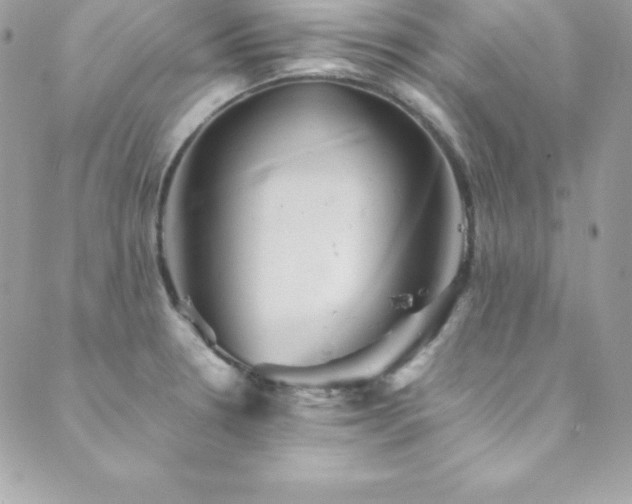 X0000089921330200706291119