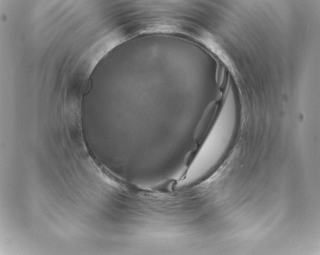 X0000089921337200706291119