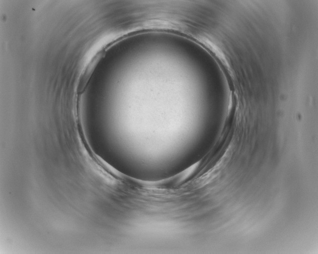X0000089921342200706291119