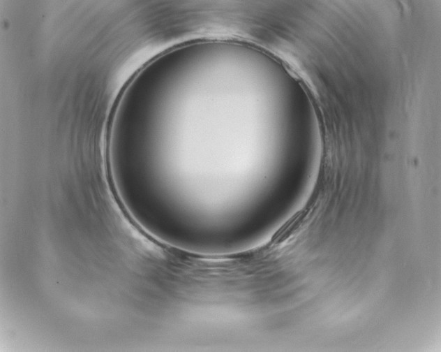 X0000089921343200706291119