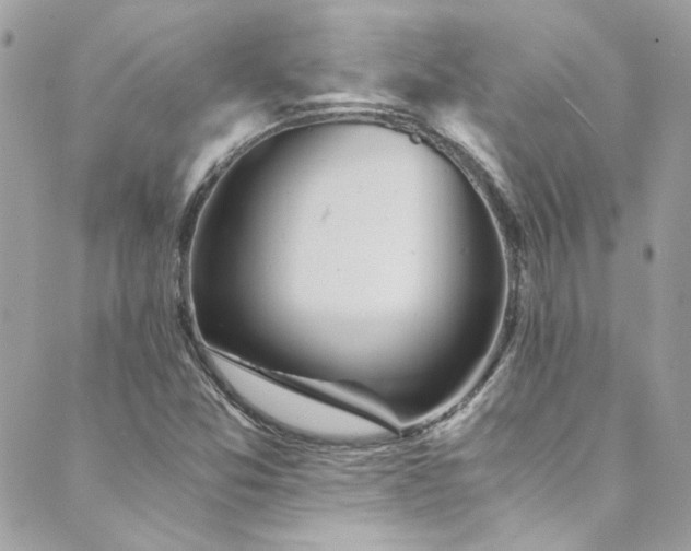 X0000089921357200706291118