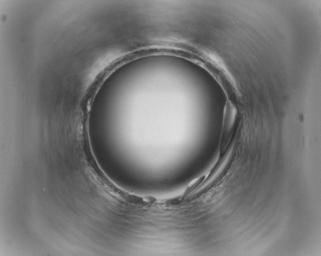 X0000089921360200706291118