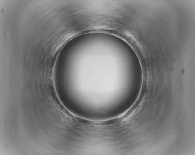 X0000089921361200706291118