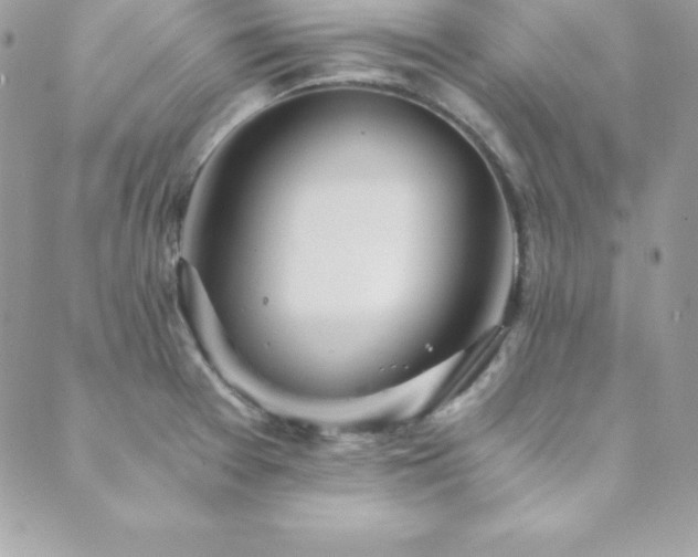 X0000089921377200706291118