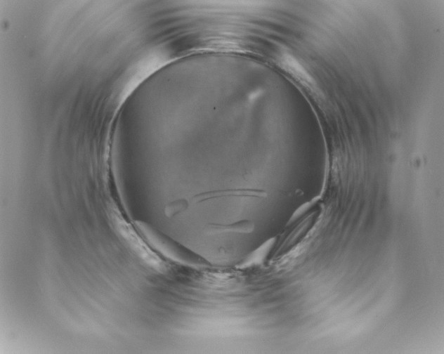 X0000089921378200706291118