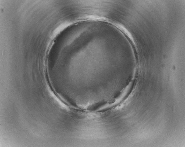 X0000089921381200706291118