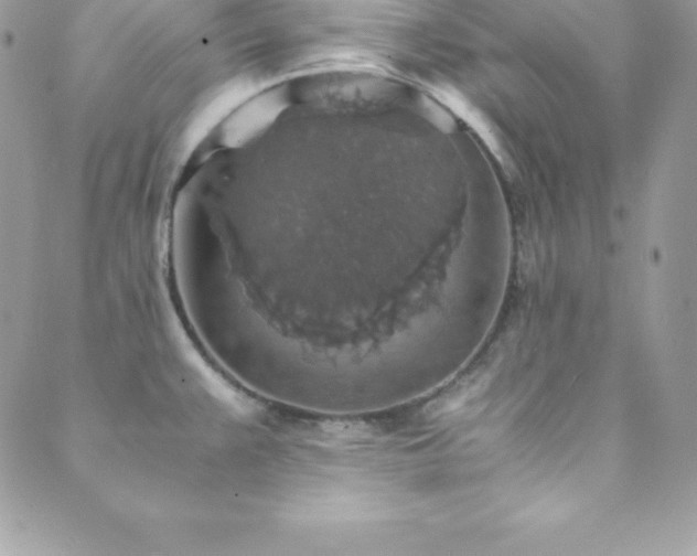 X0000089921383200706291118