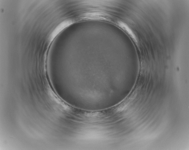 X0000089921386200706291118