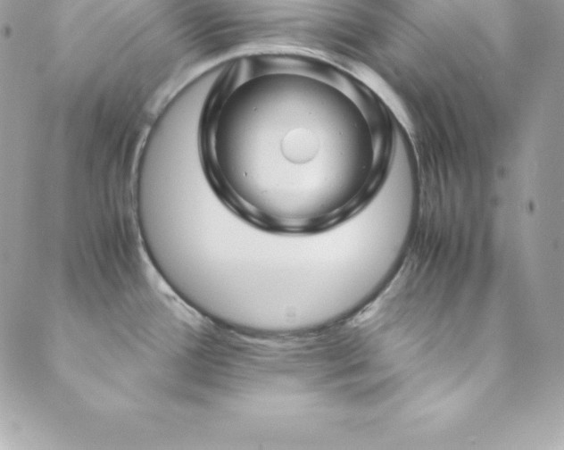 X0000089921388200706291118
