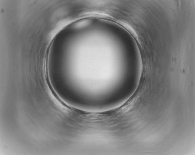 X0000089921391200706291117