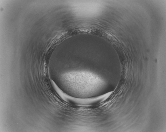 X0000089921394200706291117