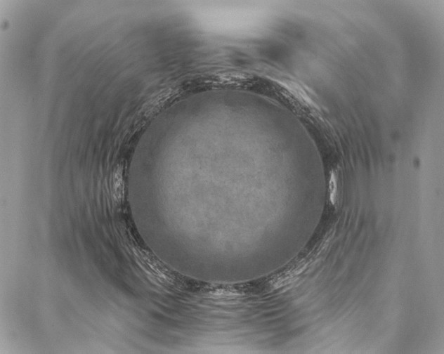 X0000089921395200706291117