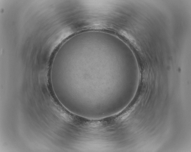X0000089921410200706291117