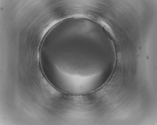 X0000089921428200706291117