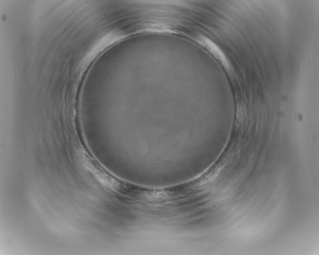 X0000089921435200706291117