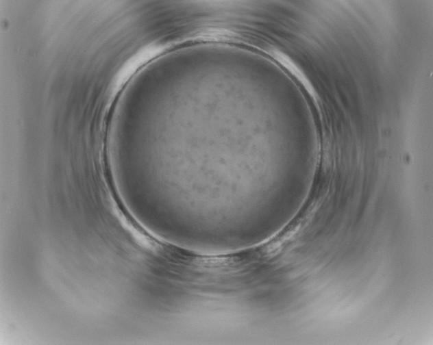 X0000089921437200706291117