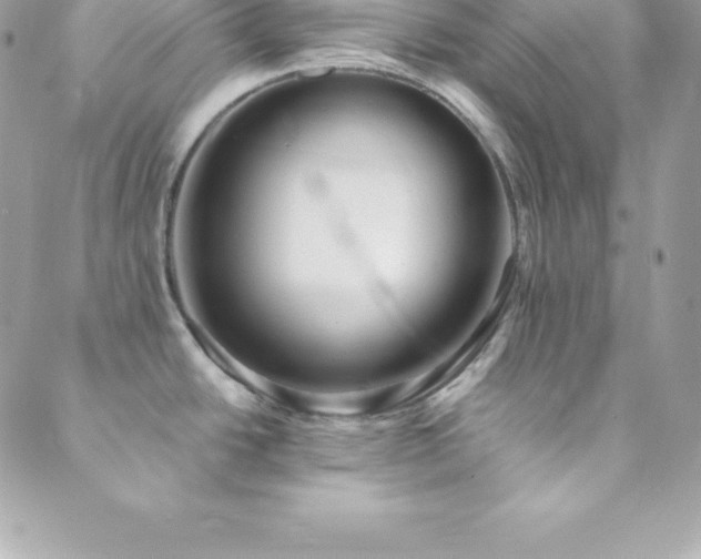 X0000089921438200706291117