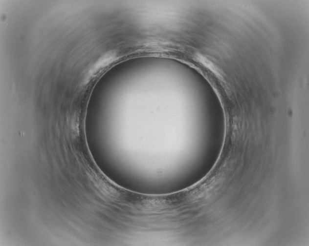 X0000089921451200706291117
