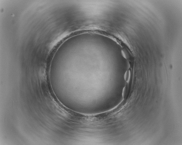 X0000089921452200706291117