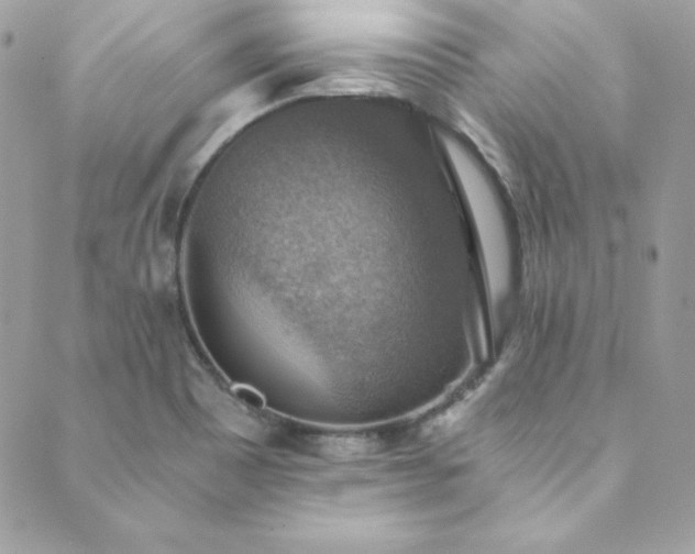 X0000089921465200706291116