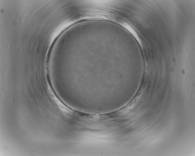 X0000089921485200706291116