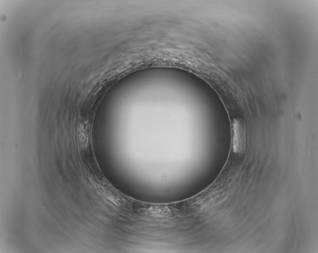 X0000089921491200706291115