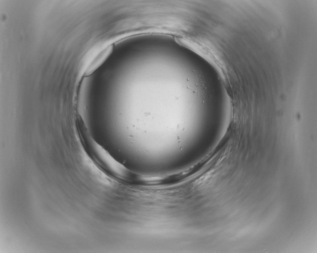 X0000089921532200706291116