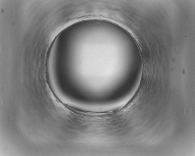 X0000089921534200706291116