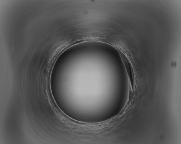 X0000089920001200707061028