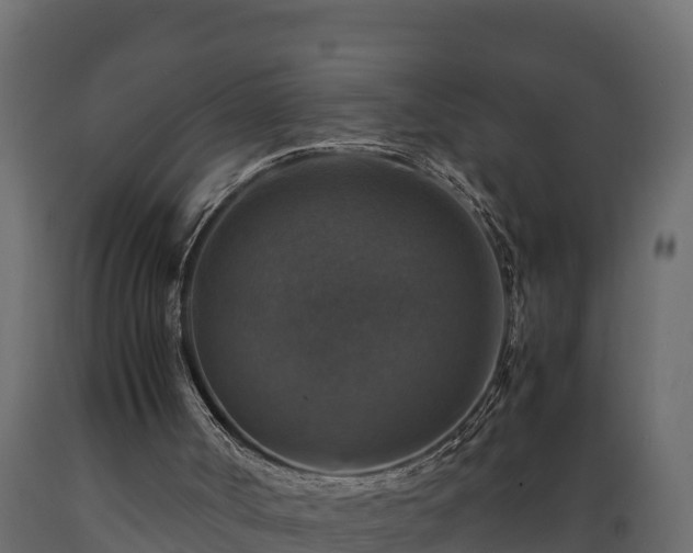 X0000089920002200707061028