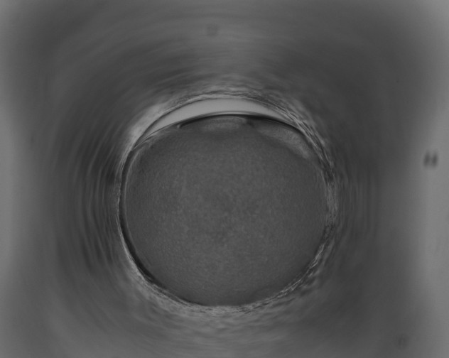 X0000089920003200707061028