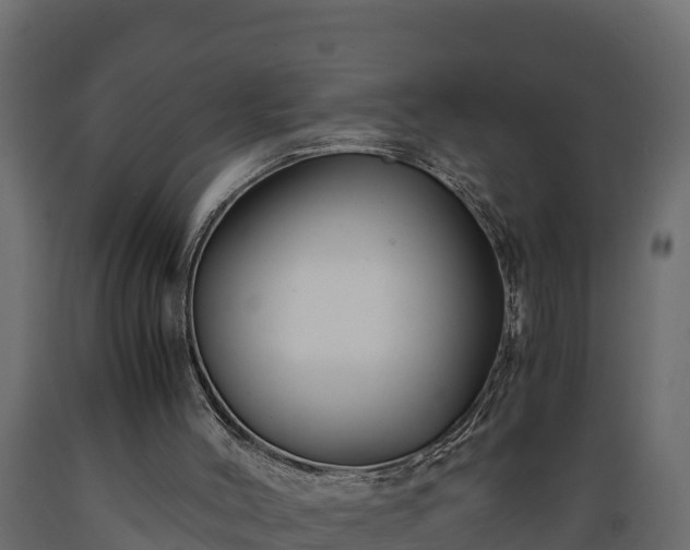X0000089920004200707061028