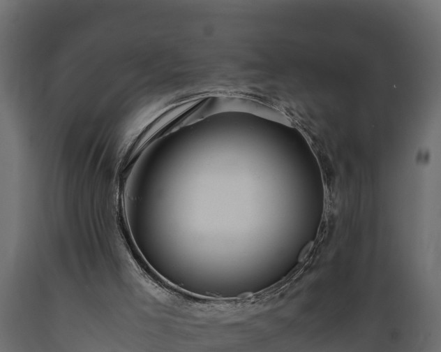 X0000089920005200707061028