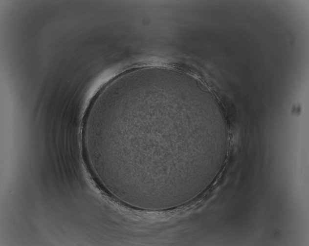 X0000089920006200707061028