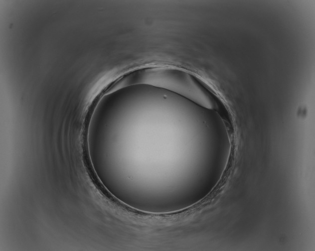 X0000089920007200707061028
