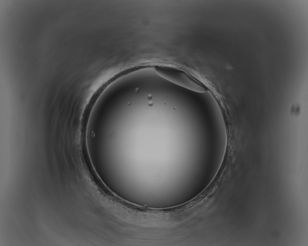 X0000089920008200707061028