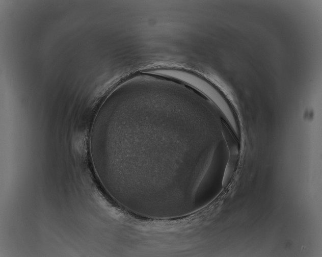 X0000089920009200707061028