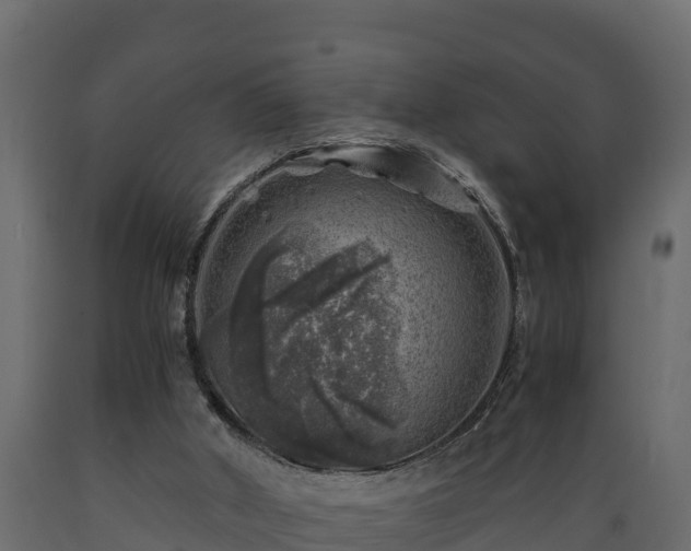 X0000089920010200707061028