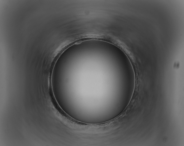X0000089920011200707061028