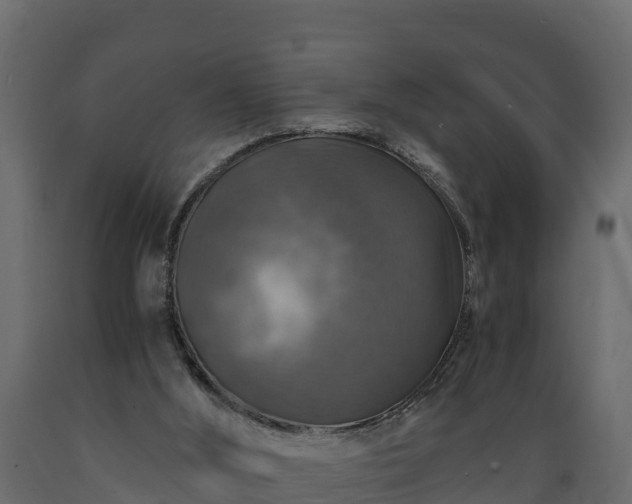 X0000089920012200707061028