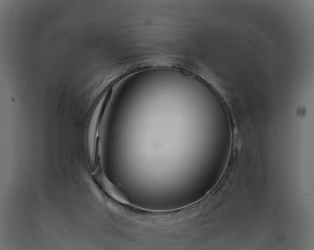 X0000089920013200707061028