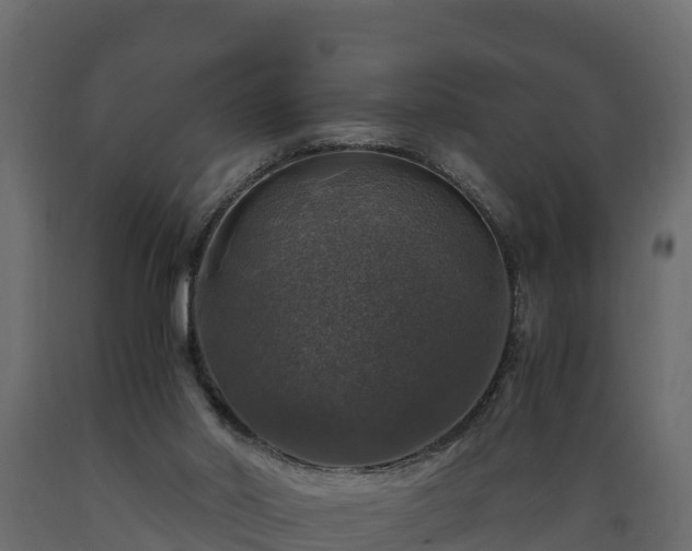X0000089920014200707061028