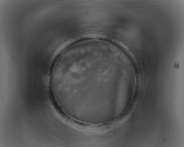 X0000089920016200707061028